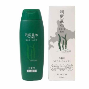 利尻昆布ヘアカラーシャンプー250ｍL (ブラック)