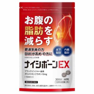 Healthy ナイシボーンEX おなかの脂肪 内臓/皮下脂肪を減らす ダイエット サポート ブラックジンジャー サプリメント タブレット 機能性