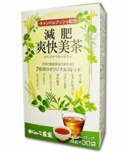 がんこ茶家 減肥爽快美茶 (4グラム (x 30))