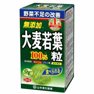 Natural Life 山本漢方製薬 大麦若葉青汁粒100% 280粒