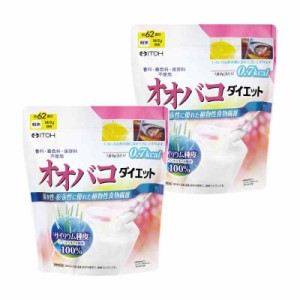 井藤漢方製薬 オオバコダイエット約62日 500g 香料 着色料 保存料不使用 食物繊維 パウダー 満腹感サポート×2個