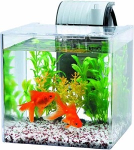 テトラ (Tetra) テトラ 静かな金魚飼育セット SF-17GF 水槽 アクアリウム