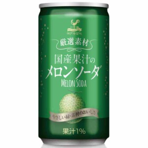 神戸居留地 厳選素材 国産果汁の メロンソーダ 缶 185ml×20本 [ 国産 メロン果汁 使用 国内製造]