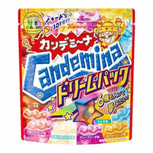 カンロ カンデミーナグミドリームパック 152g×4個