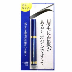 ビナ薬粧 男性専用 眉に限定した白髪隠し メンズ眉墨 1本 (x 1)