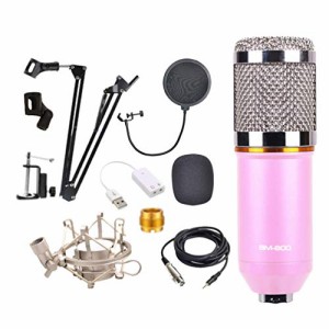 新品Milisten Condenser Microphone Bundle Kit with Mounting Clamp and Double Layer Pop Filter for Studio Recording Broadcast