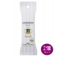 PADICO パジコ 樹脂粘土 Modena White(モデナホワイト) 60g 2個セット 303117 