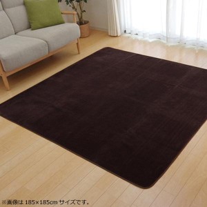 ラグ カーペット 『ピオニー』 ブラウン 約200×250cm (ホットカーペット対応) 9810246 カーペット ラグ