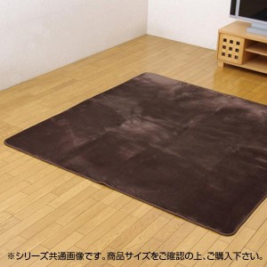 撥水加工カーペット 『撥水リラCE』 ブラウン 200×300cm 3948189 カーペット ラグ