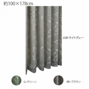 川島織物セルコン アッセル 1.5倍形態安定プリーツ ドレープカーテン 1枚 100×178cm DF1137S カーテン ドレープカーテン