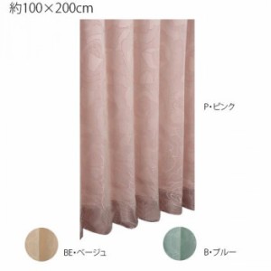 川島織物セルコン プリザー 1.5倍形態安定プリーツ ドレープカーテン 1枚 100×200cm DF1144S カーテン ドレープカーテン