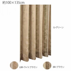 川島織物セルコン ロルカ 1.5倍形態安定プリーツ ドレープカーテン 1枚 100×135cm DF1162S カーテン ドレープカーテン