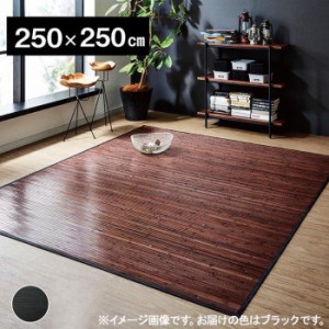 竹カーペット 『ユニバース』 ブラック 250×250cm 5352240 カーペット