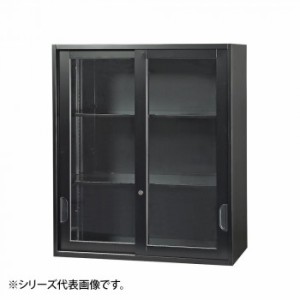 豊國工業 壁面収納庫浅型引違いガラス扉 ブラック HOS-HKGSXN-B CN-10色(ブラック) 書庫