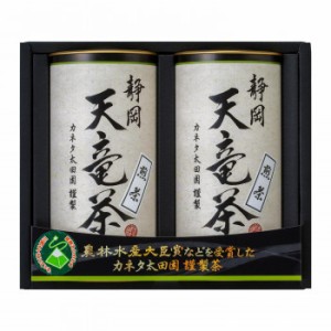 静岡 天竜茶 TNB-20 緑茶