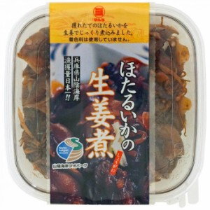 マルヨ食品 ほたるいかの生姜煮PH 100g×48個 06162 食品