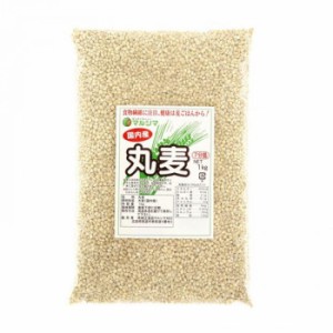 マルシマ 丸麦 1kg×3袋 2521 食品 米