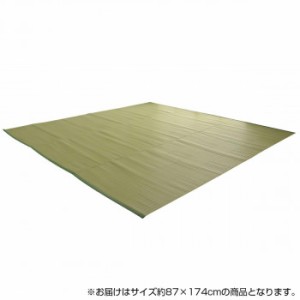 日本製 抗菌 防臭 消臭 洗えるカーペット グリーン 江戸間1畳(約87×174cm) 2128901 カーペット