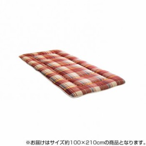 日本製 洗える 抗菌 防臭 防ダニ 敷き布団 カバー付 シングルロング レッド 約100×210cm 6707030 布団 寝具 敷き布団