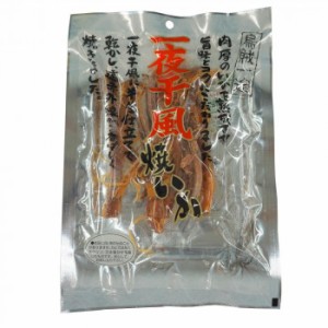 小倉秋一商店 一夜干し風焼いか 60g×10セット 