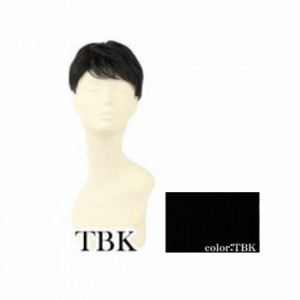 プリシラ 男性用5分ウィッグ レイヤーショート 耐熱 ブラック GB-22-TBK ウィッグ