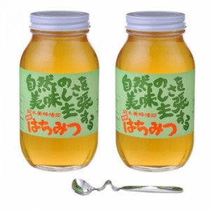 鈴木養蜂場 はちみつ 大瓶2本セット(菜の花1.2kg、レンゲ1.2kg、はちみつスプーン) はちみつ