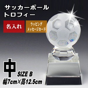 名入れ 記念品 / クリスタル サッカー ボール トロフィー SB-1(中) / お祝い 名前入り 優勝 卒業 卒団 退団 誕生日 退職 還暦 贈り物 贈