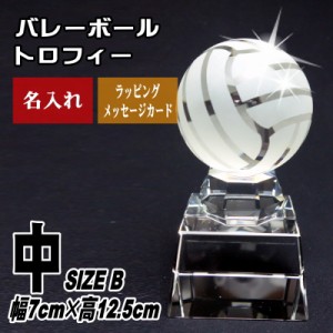 名入れ 記念品 / クリスタル バレー ボール トロフィー SB-1(中) / お祝い 名前入り 優勝 卒業 卒団 退団 誕生日 退職 還暦 贈り物 贈答