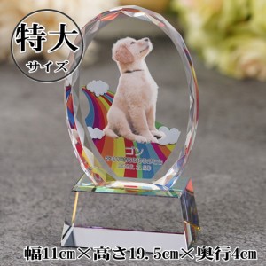 ペット 位牌 / 愛猫 愛犬 思い出 / クリスタル オーバル型 KP-32(特大) / お位牌 遺影 手元供養 仏具 供養 仏壇 ペットメモリアル ホログ