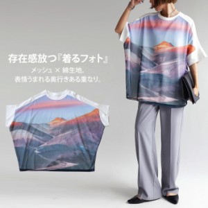 Tシャツ レディース トップス 半袖 山 柄 柄トップス 送料無料・(100)メール便可