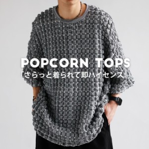 Tシャツ メンズ トップス 半袖 チェック柄 柄 送料無料・メール便不可【Z】 父の日