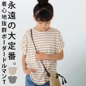 ボーダードルマンT Tシャツ キッズ 子供服 ジュニア・再再販。(30)メール便可 TOY