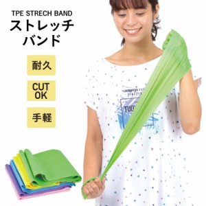 フィットネス エクササイズバンド OCFG-120B おうちトレーニング ストレッチ リハビリ ゴムバンド 運動 筋トレ 宅トレ ダイエット 筋肉