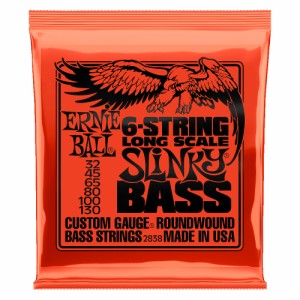 アーニーボール ERNIE BALL 2838 6-STRING SLINKY 6弦ベース弦