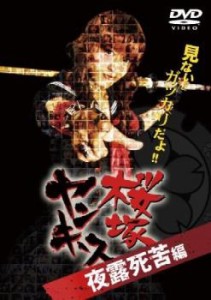 桜塚ヤンキース 夜露死苦編 中古DVD