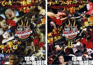 STREET FIGHT 頂天 TEPPEN JAPAN 全2枚  1・2 中古DVD セット 2P レンタル落ち