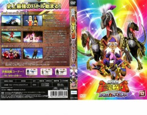 ts::古代王者 恐竜キング Dキッズ・アドベンチャー 12 中古DVD レンタル落ち