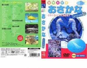 動物大好き おさかなスペシャル50 中古DVD