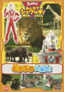 ウルトラマン みんなでシュワッチ! どうぶつ大集合! 中古DVD レンタル落ち