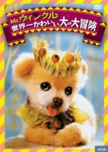 Mr.ウィンクル 世界一かわいい犬の大冒険【字幕】 中古DVD レンタル落ち