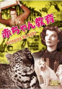 赤ちゃん教育【字幕】 中古DVD レンタル落ち