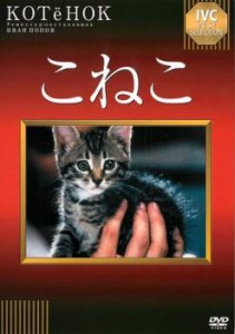 こねこ 中古DVD