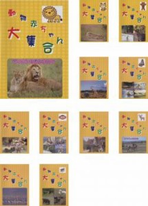 動物赤ちゃん大集合 全11枚 1〜11 中古DVD 全巻セット レンタル落ち