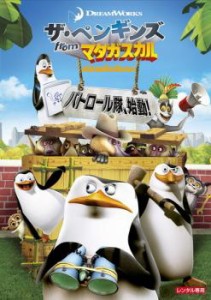 ザ・ペンギンズ from マダガスカル パトロール隊、始動! 中古DVD レンタル落ち