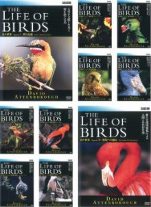 鳥の世界 全10枚  中古DVD 全巻セット レンタル落ち