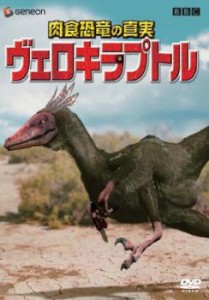 「売り尽くし」ケース無:: 肉食恐竜の真実 ヴェロキラプトル 中古DVD レンタル落ち