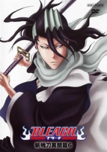 「売り尽くし」ケース無:: BLEACH ブリーチ 斬魄刀異聞篇 6(第250話〜第253話) 中古DVD レンタル落ち