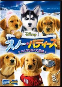 スノー・バディーズ 小さな5匹の大冒険 中古DVD レンタル落ち