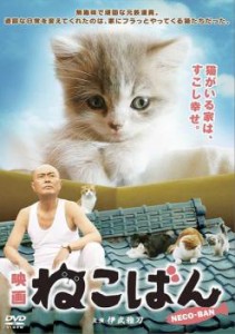 cs::ケース無:: 映画 ねこばん 中古DVD レンタル落ち