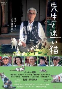 cs::ケース無:: 先生と迷い猫 中古DVD レンタル落ち